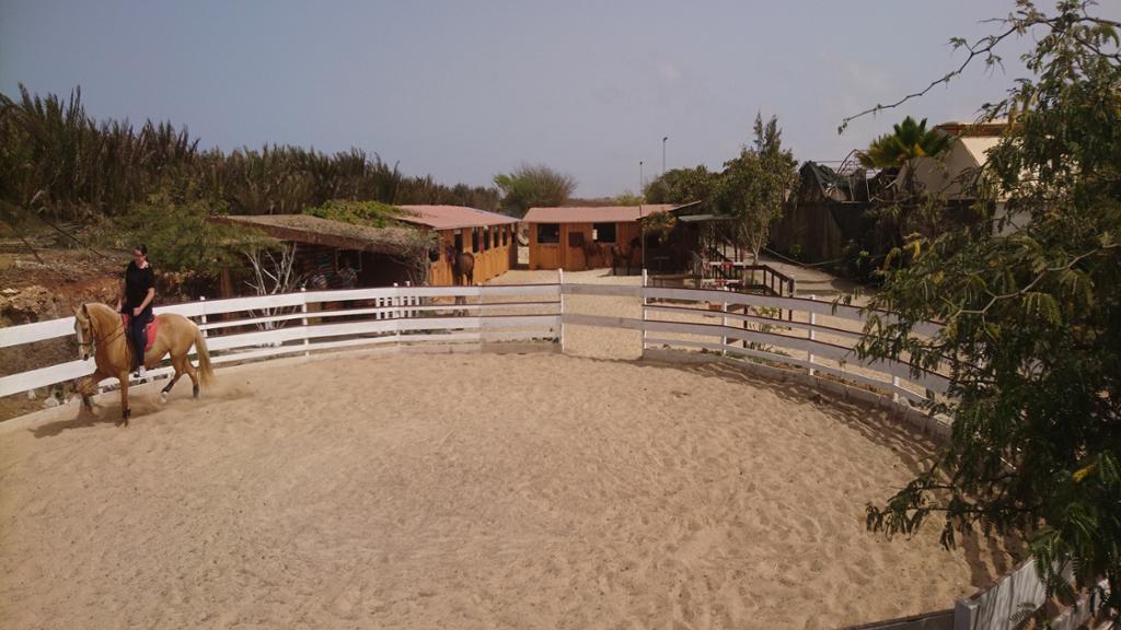 Horse Riding Tour - Image 5